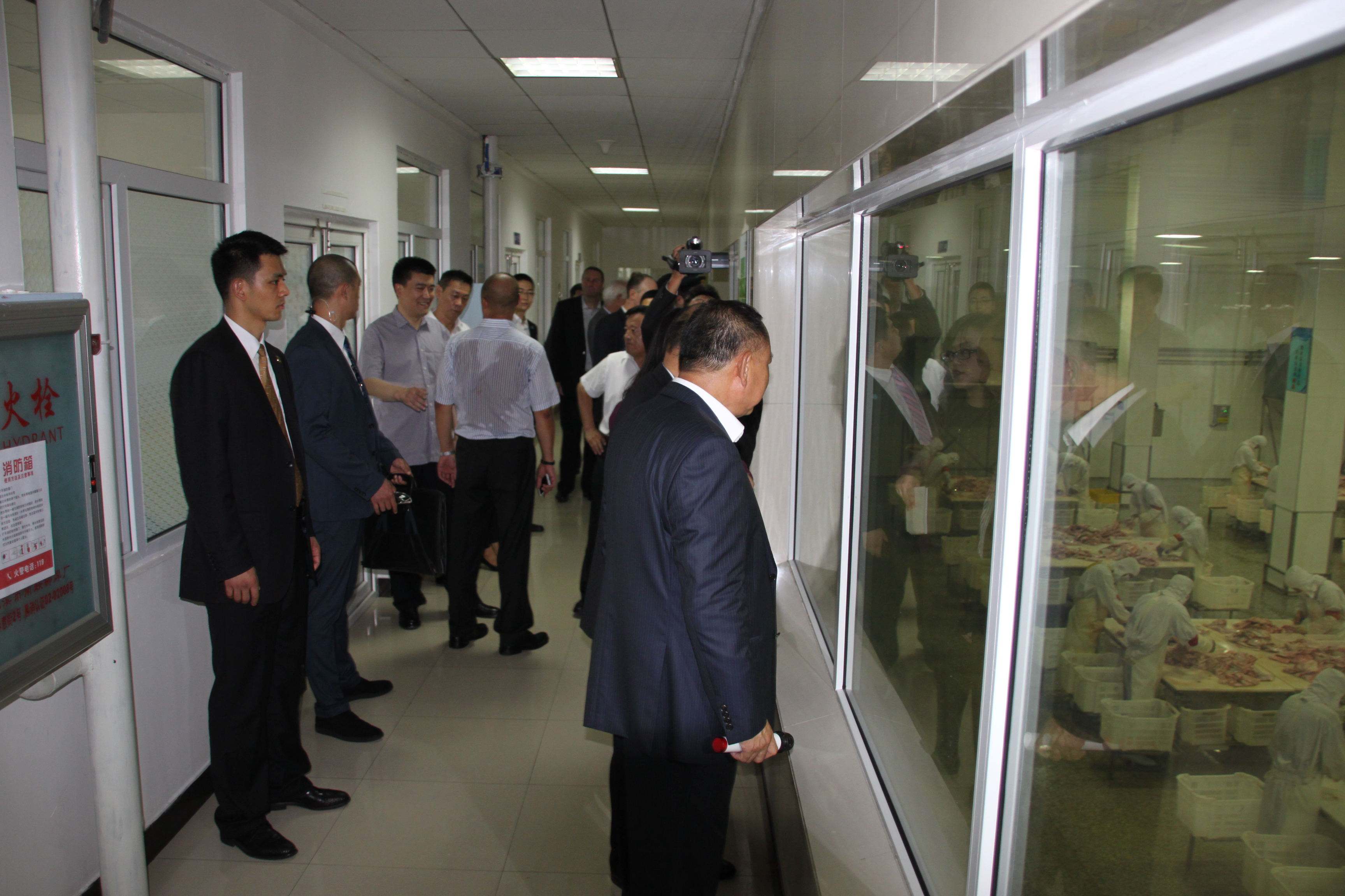 冲出市场的十面埋伏——美国迈特集团合作故事